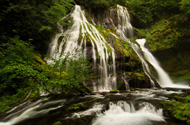 Falls Creek Falls and Panther Creek Falls, WA